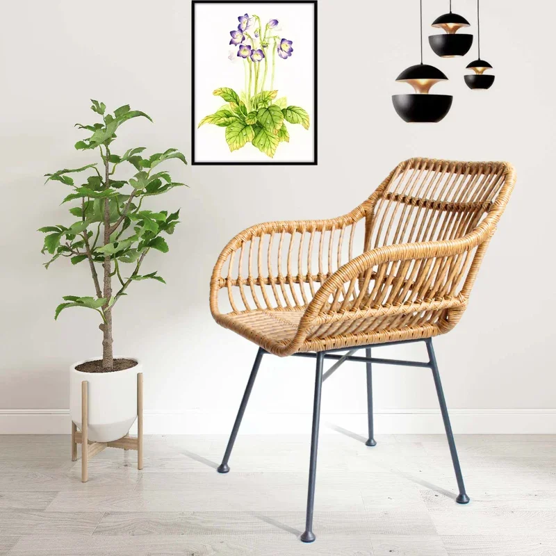 Nordic Dining Chairs for Kitch - Outdoor Furniture Metal Chairs review and price